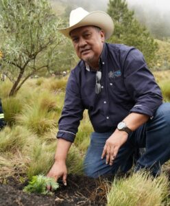 Reforestan el Parque Nacional Pico de Orizaba con más de 103 mil pinos