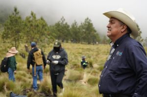 Reforestan el Parque Nacional Pico de Orizaba con más de 103 mil pinos