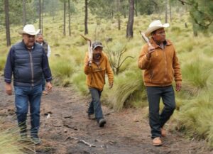 Reforestan el Parque Nacional Pico de Orizaba con más de 103 mil pinos