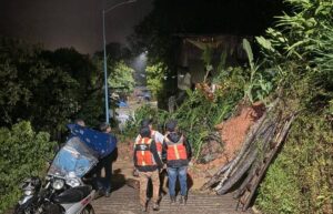 Tormenta provoca derrumbes, caída de árboles y alerta preventiva en Tlilapan 