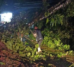 Tormenta provoca derrumbes, caída de árboles y alerta preventiva en Tlilapan 