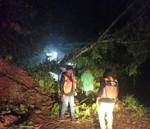 Tormenta provoca derrumbes, caída de árboles y alerta preventiva en Tlilapan 