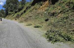 Mantenimiento de carreteras, clave para reforzar la seguridad durante las lluvias en Xoxocotla