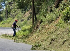 Mantenimiento de carreteras, clave para reforzar la seguridad durante las lluvias en Xoxocotla