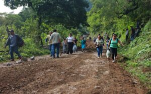 Con faena comunitaria, rehabilitan caminos que conectan a tres municipios de la Sierra de Zongolica 